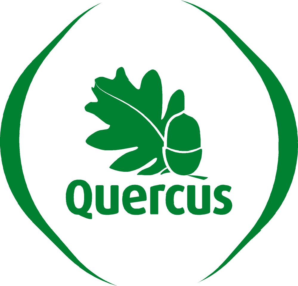 Quercus